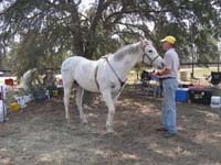 international/USA/2009FITS/gallery/AngieMcGhee/thumbnails/FITS Sat. 50 090.jpg